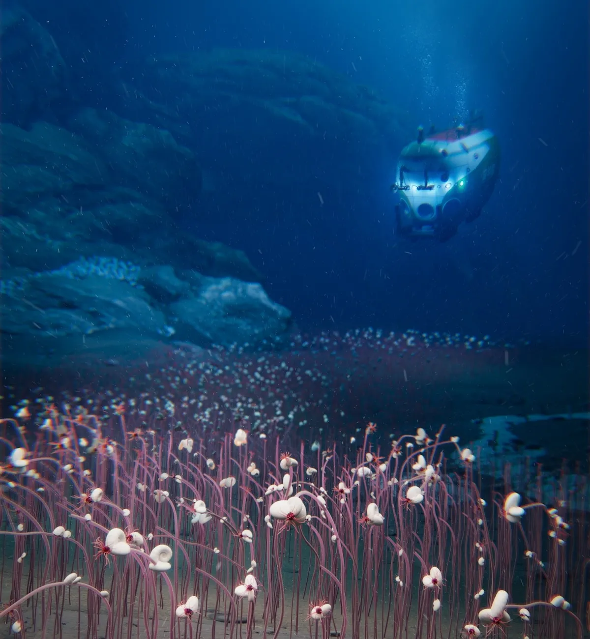 Deepest-Known Animal Communities Found Almost Six Miles Below Sea Level