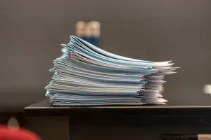 Article illustration