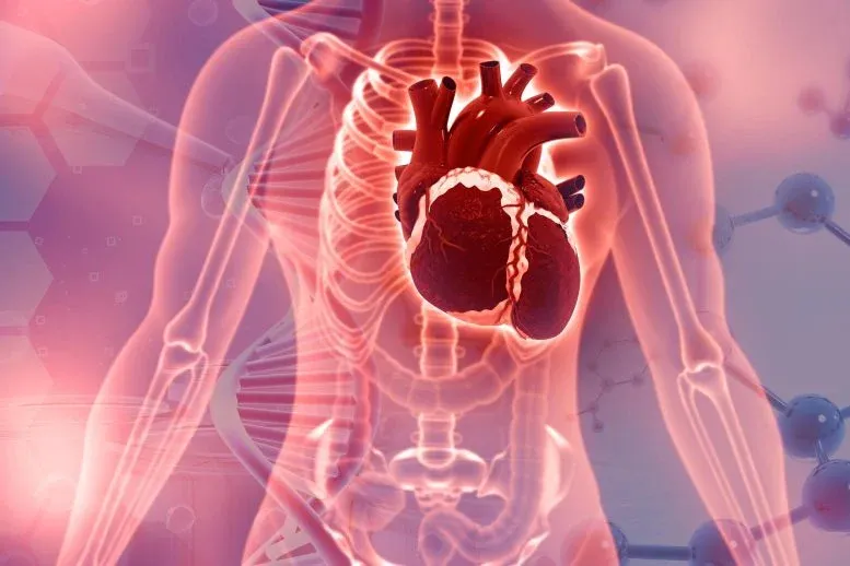 Major Trial Tests a New Way To Decide Who Really Needs Statins