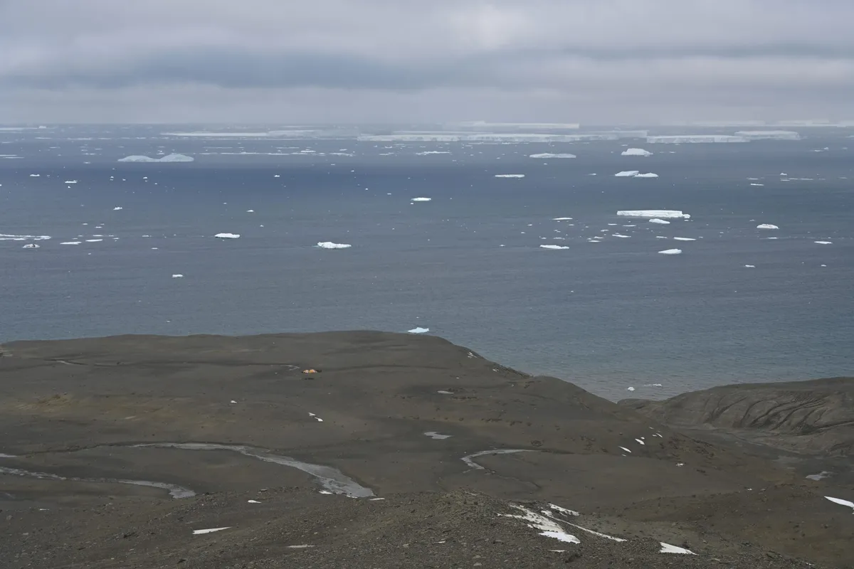 Submeseta Formation on Seymour Island