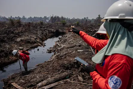 Members of the Power of Mama team patrol the forest on foot to search for undetected fires in Sungai Putri village, Ketapang Regency, West Kalimantan province.