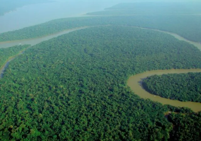 Article illustration