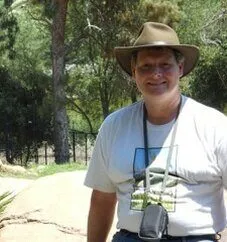 Article illustration