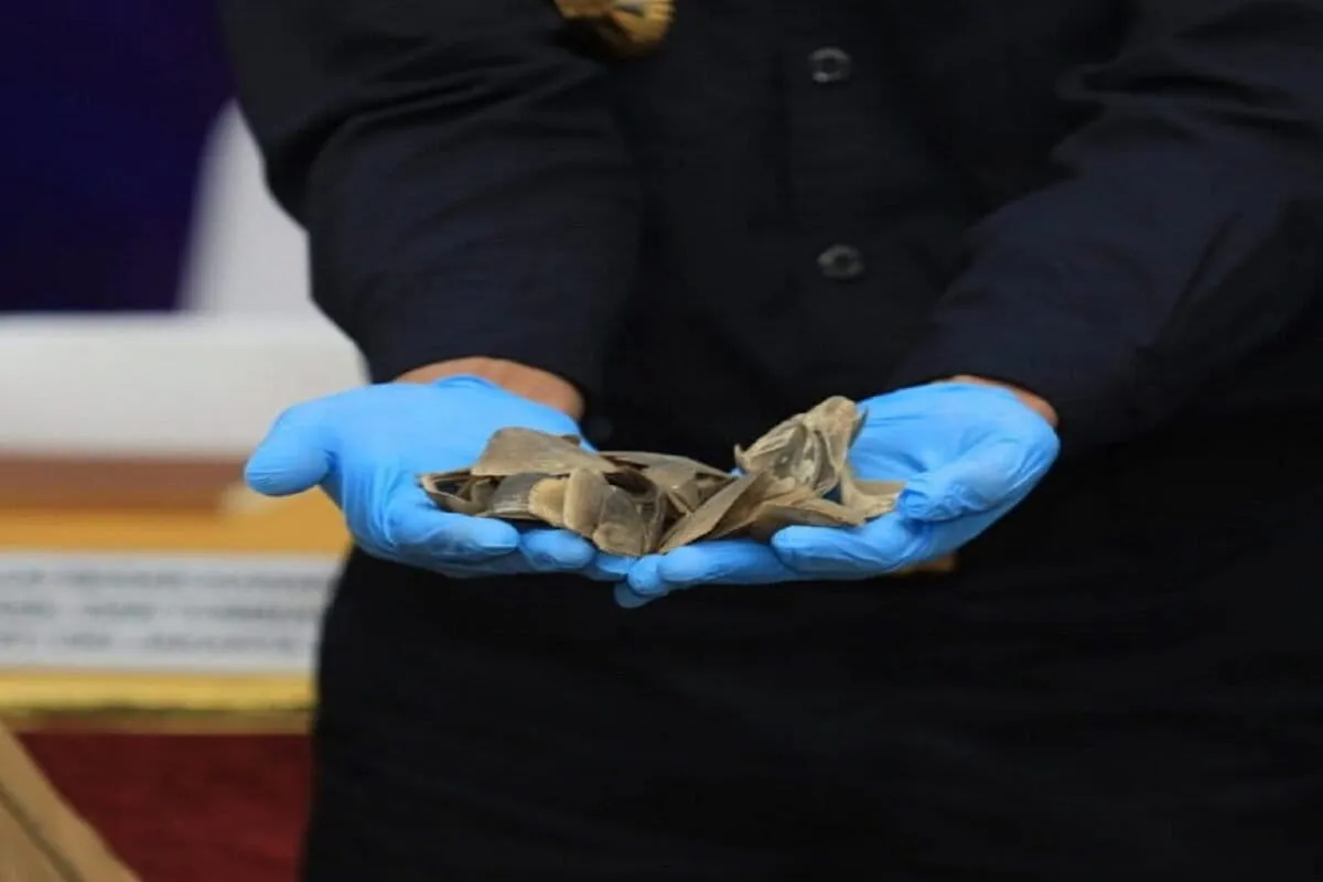 Jakarta port authorities seize 3 tons of pangolin scales in Cambodia-bound container