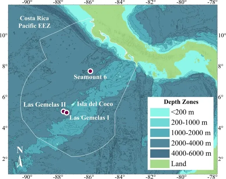 Mysterious “Golden Tree” Coral Discovered in Costa Rica’s Deep Pacific