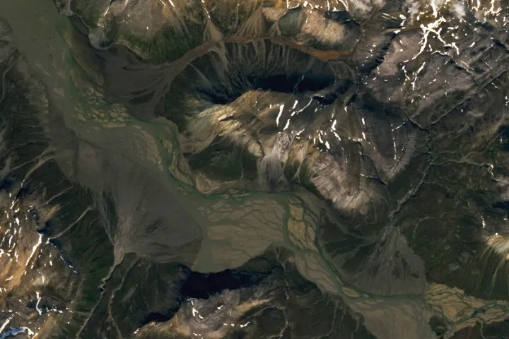 Fans of the Arctic - NASA Science