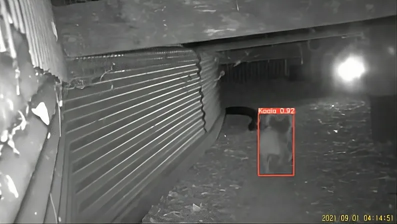 Article illustration