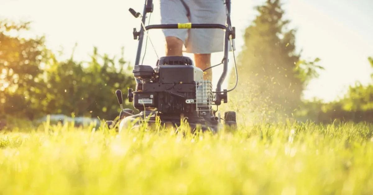 This Navy Veteran Is Mowing Lawns (And Hearts) For Free