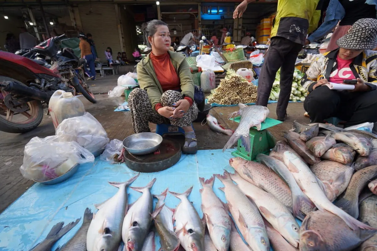Cambodia's Mekong markets reveal how the river is changing
