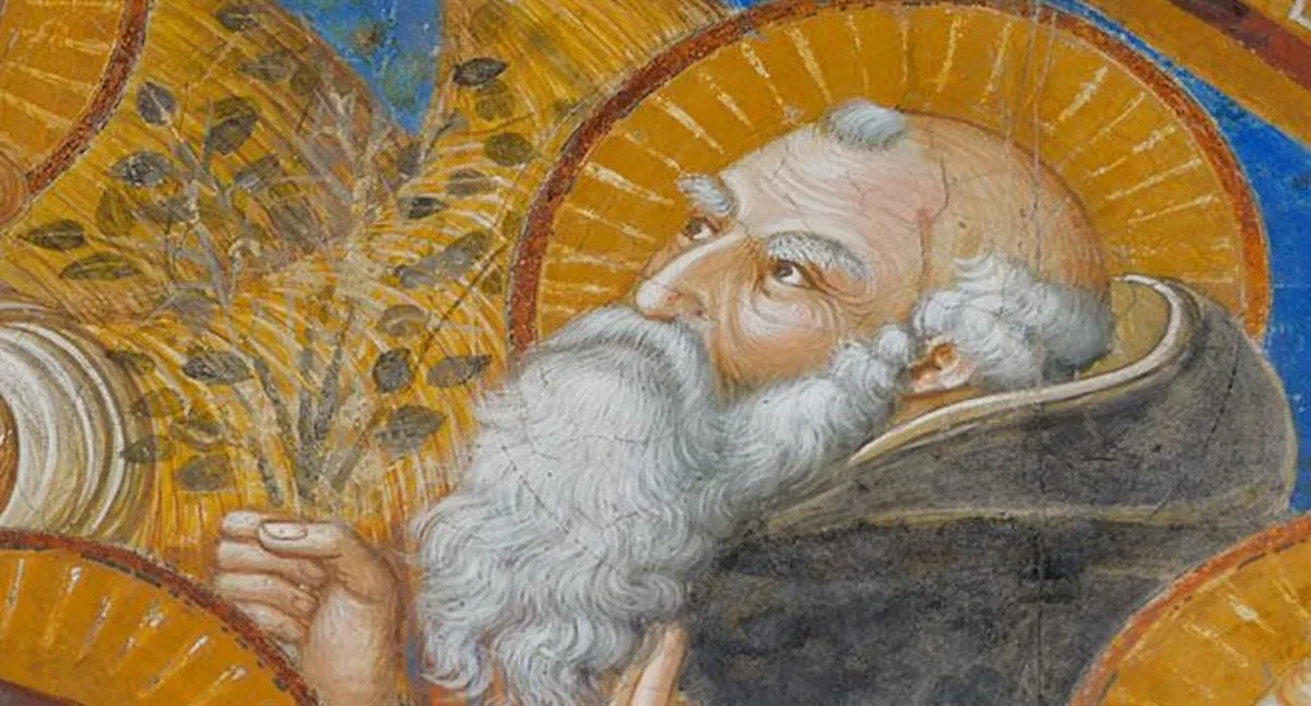 ‘Green-Thumb’ Miracles Gave These Monks an Eco-Authority in Medieval Italy New Research Shows