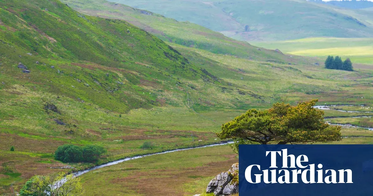 Welsh charity launches largest rewilding project on 480 hectares