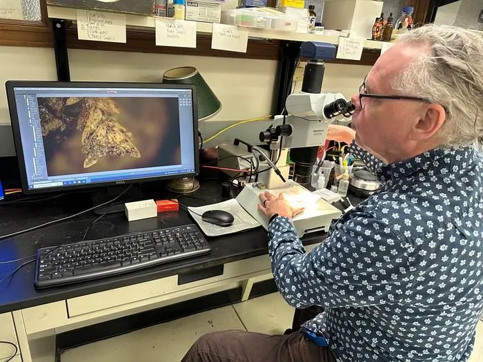 A moss clump helped FBI solve a cemetery grave-robbing case