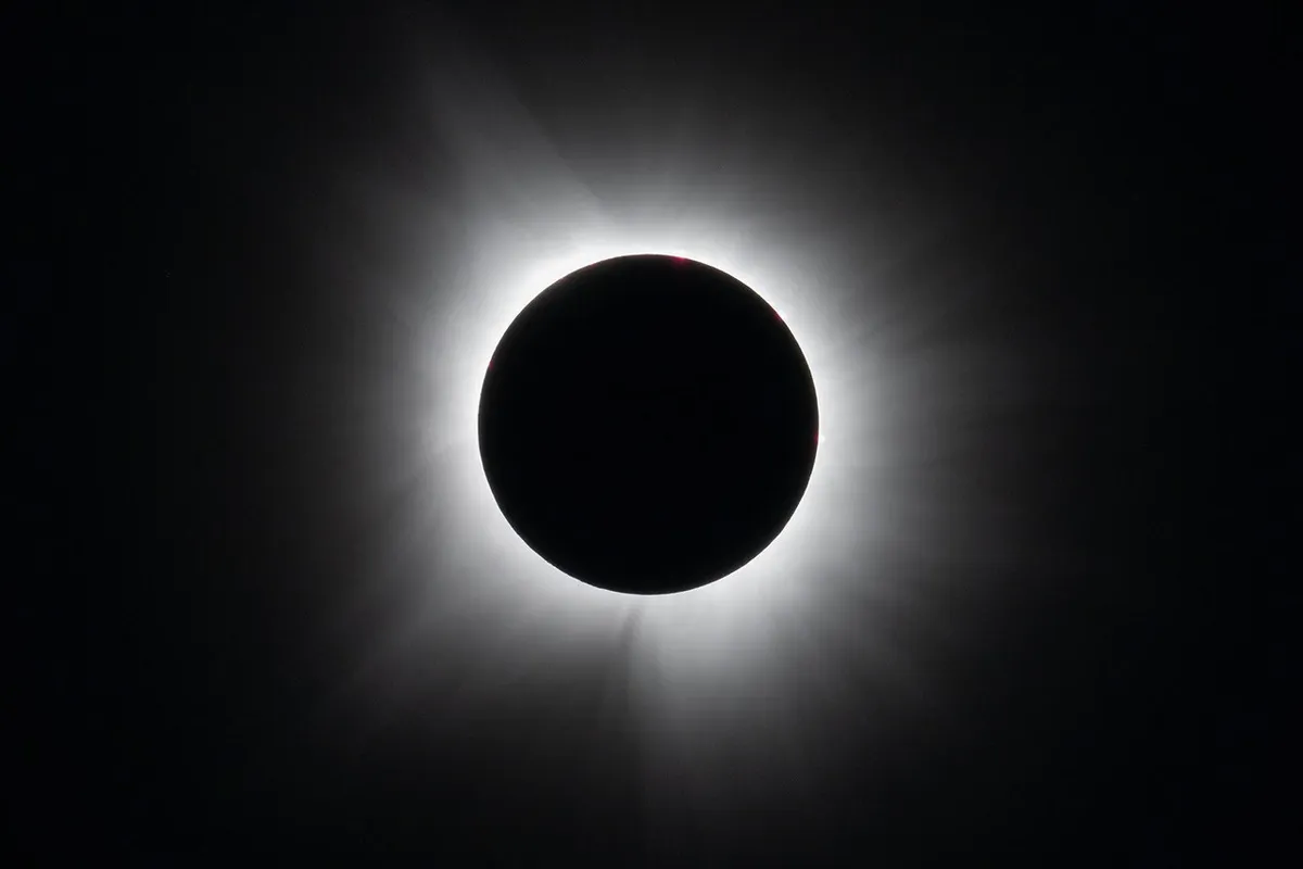 Citizen scientists' eclipse photos reveal secrets of the Sun's corona
