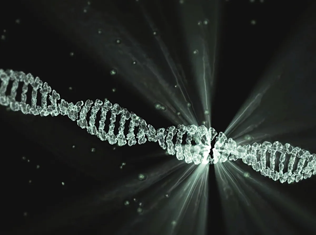 Our DNA Has 4 Letters. This Enzyme Just Read An 8-Letter Alphabet.