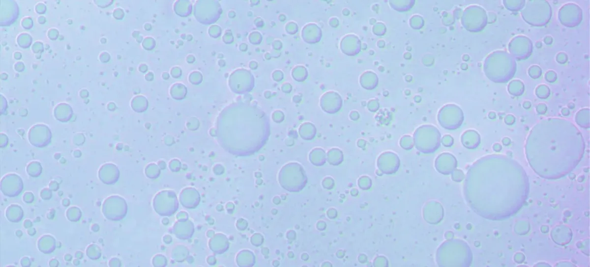 Process doubles the size of PFAS molecules, making them easy to destroy