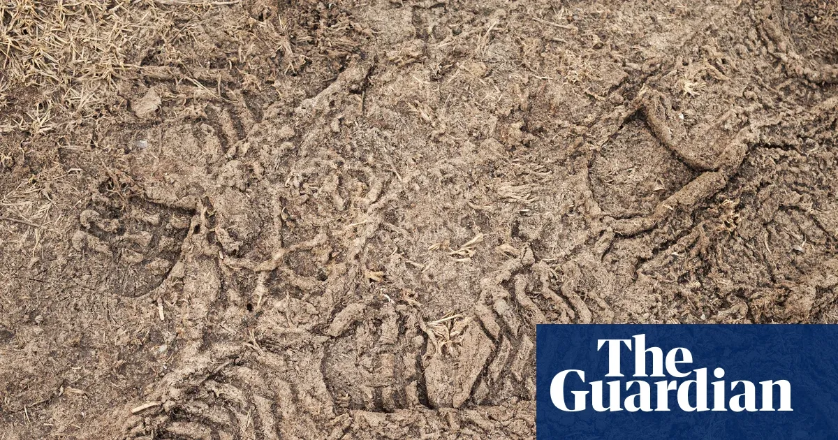 Frozen Earth Preserves Timeless Prints, Empowering Nature's Resurgence