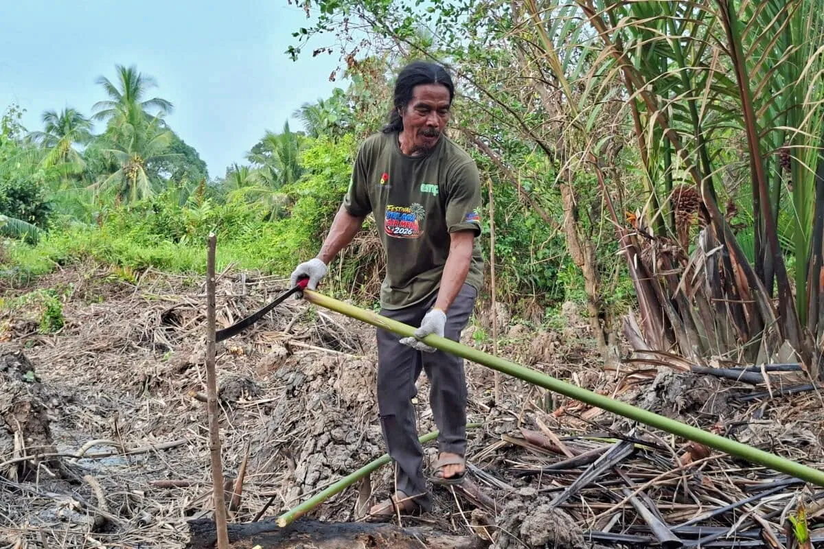 A Farmer's Fight to Bring Back Mangroves, One Seedling at a Time