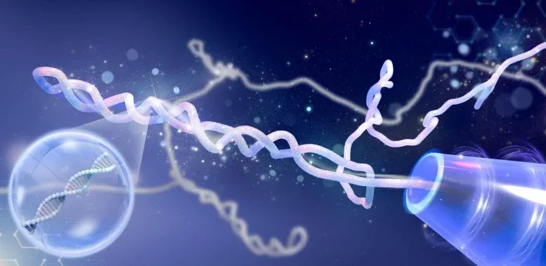 Scientists Were Wrong for Decades: What Looked Like DNA Knots Turned Out To Be Something Far More Twisted