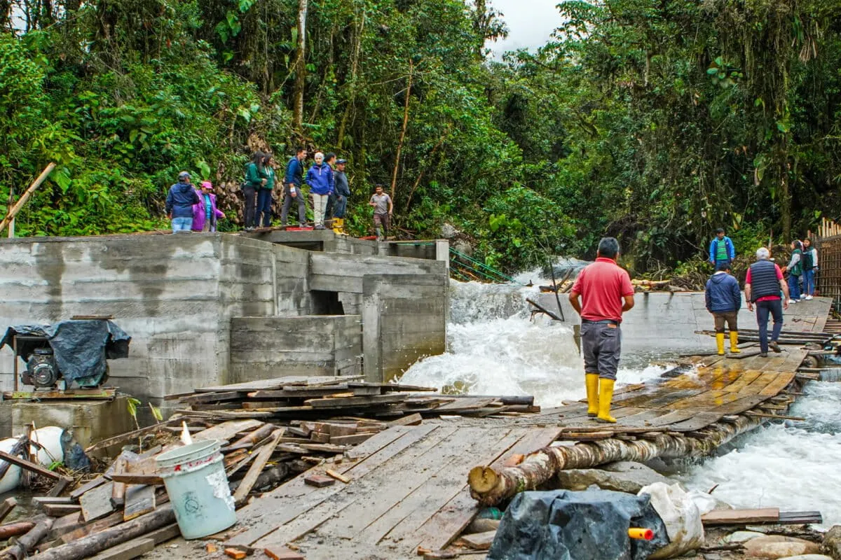 These Families Built Their Own Power Plant to Protect a Cloud Forest
