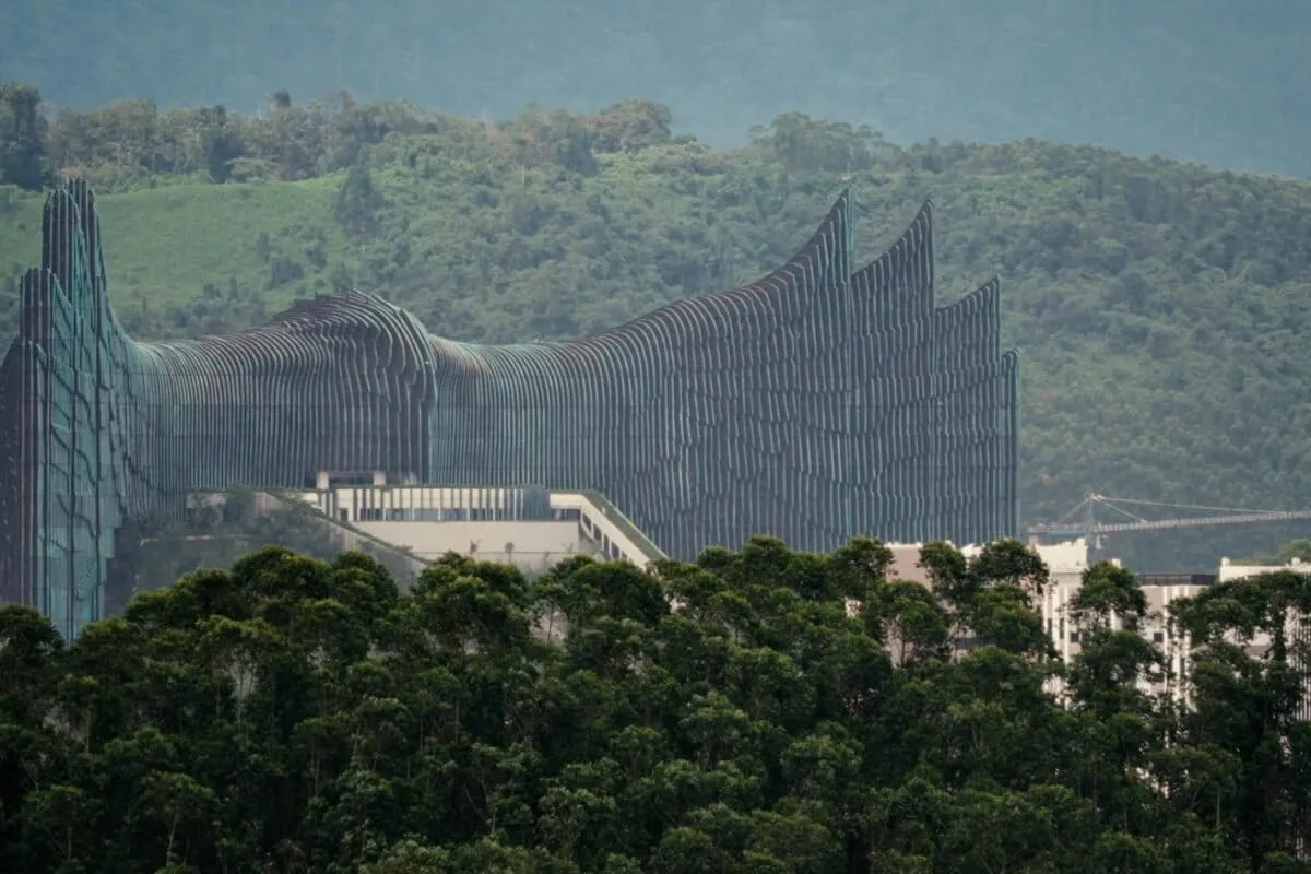 Scientists Are Recording a Rainforest Before a New Capital City Moves In