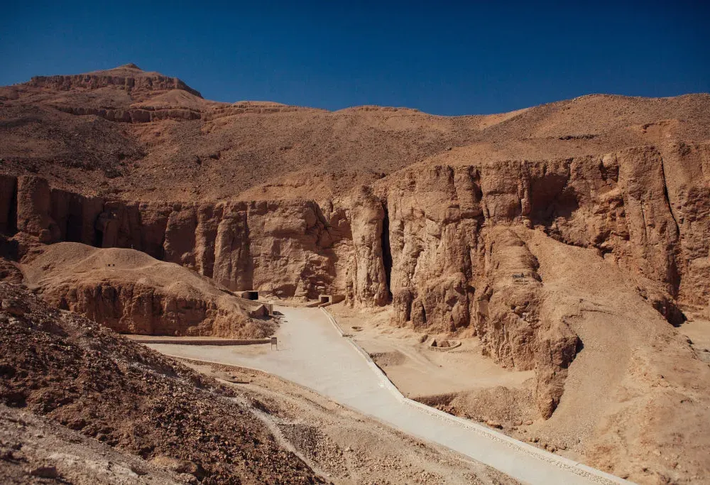 Article illustration