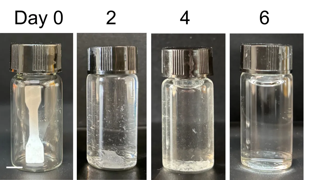 This 'Living Plastic' Vanishes on Command, No Microplastics Left Behind