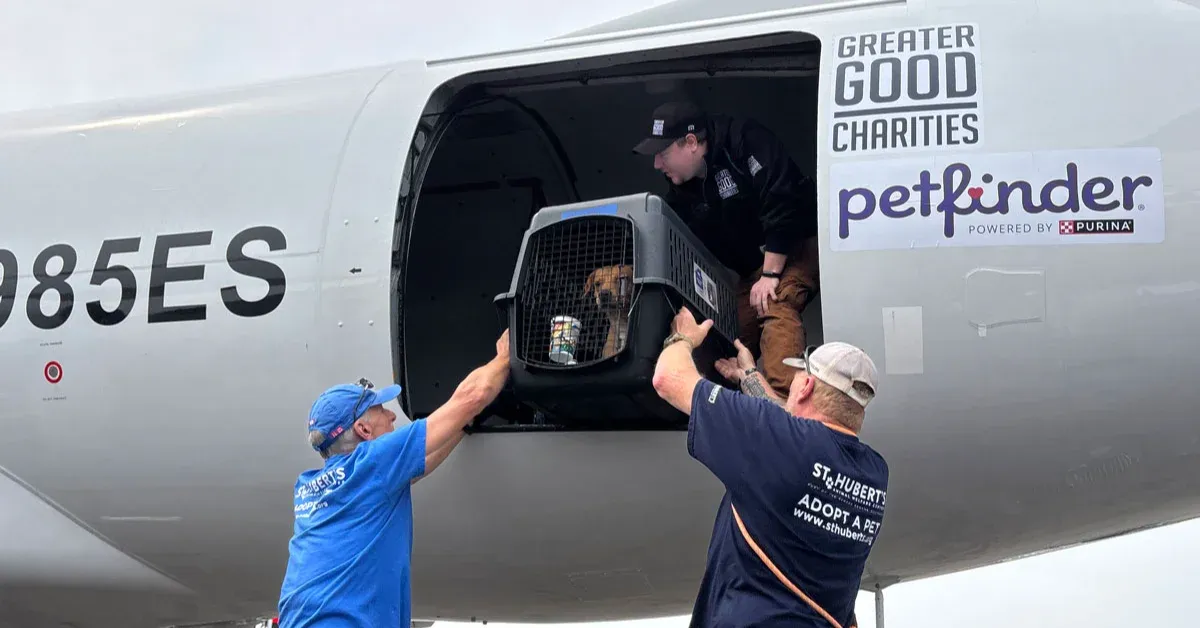 Petfinder rescue flights relocate 100+ pets from overcrowded shelters to homes in New Jersey