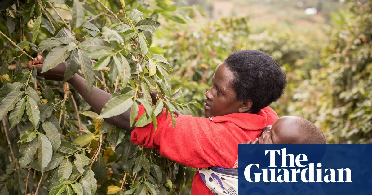 Cloth wraps treated with ‘dirt cheap’ insecticide cut malaria cases in babies