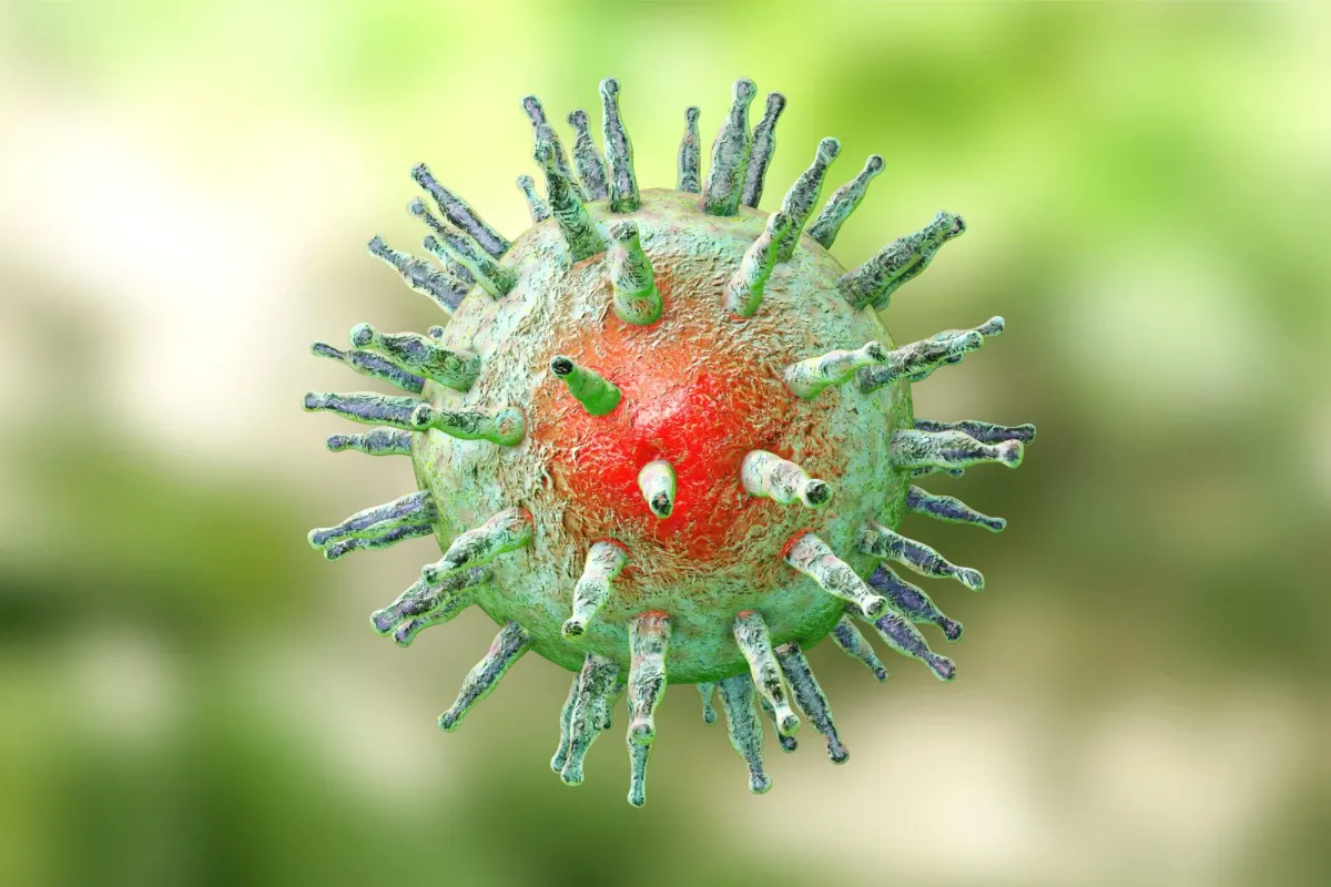 Scientists block Epstein-Barr virus in human immune cells for first time