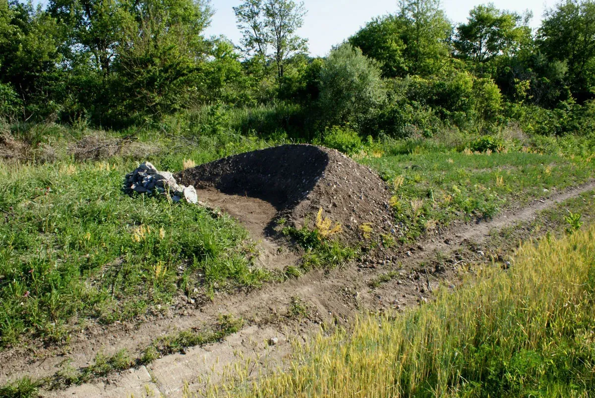 Counterpublic Triennial Names 47 Artists and Collectives for Upcoming Third Edition, Including Glenn Ligon, Rebecca Belmore, Rirkrit Tiravanija