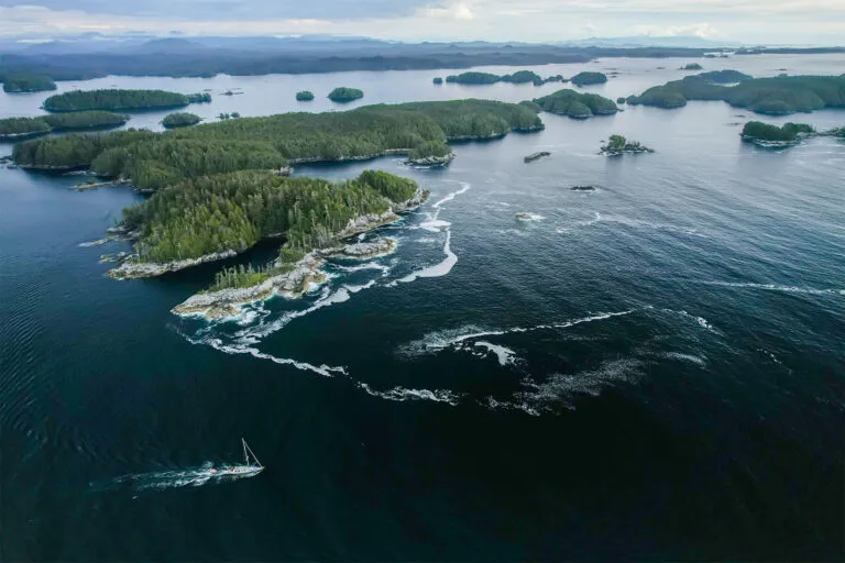 Article illustration