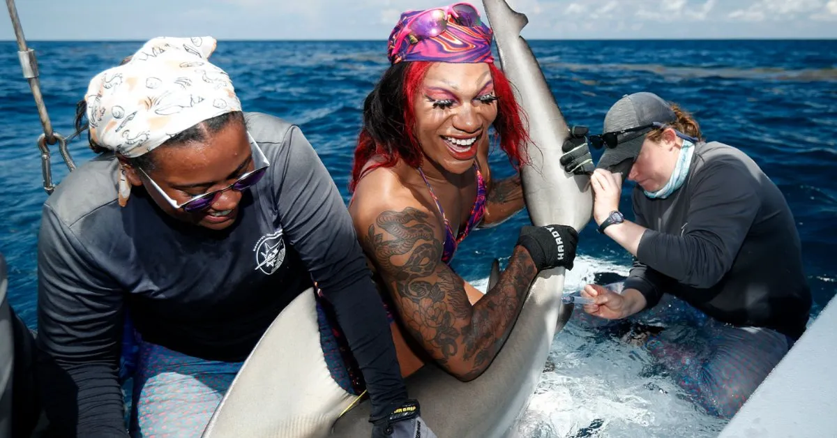 This Drag Queen Tags Sharks, Raises Money, and Channels Steve Irwin