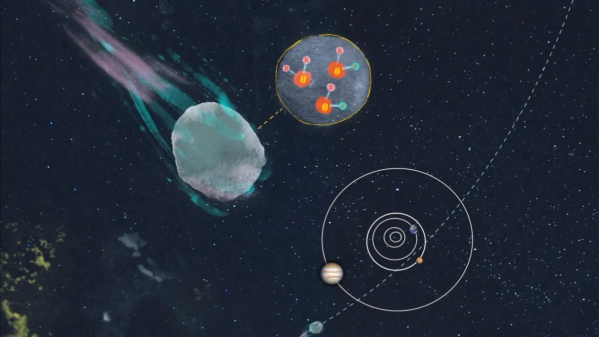 Article illustration