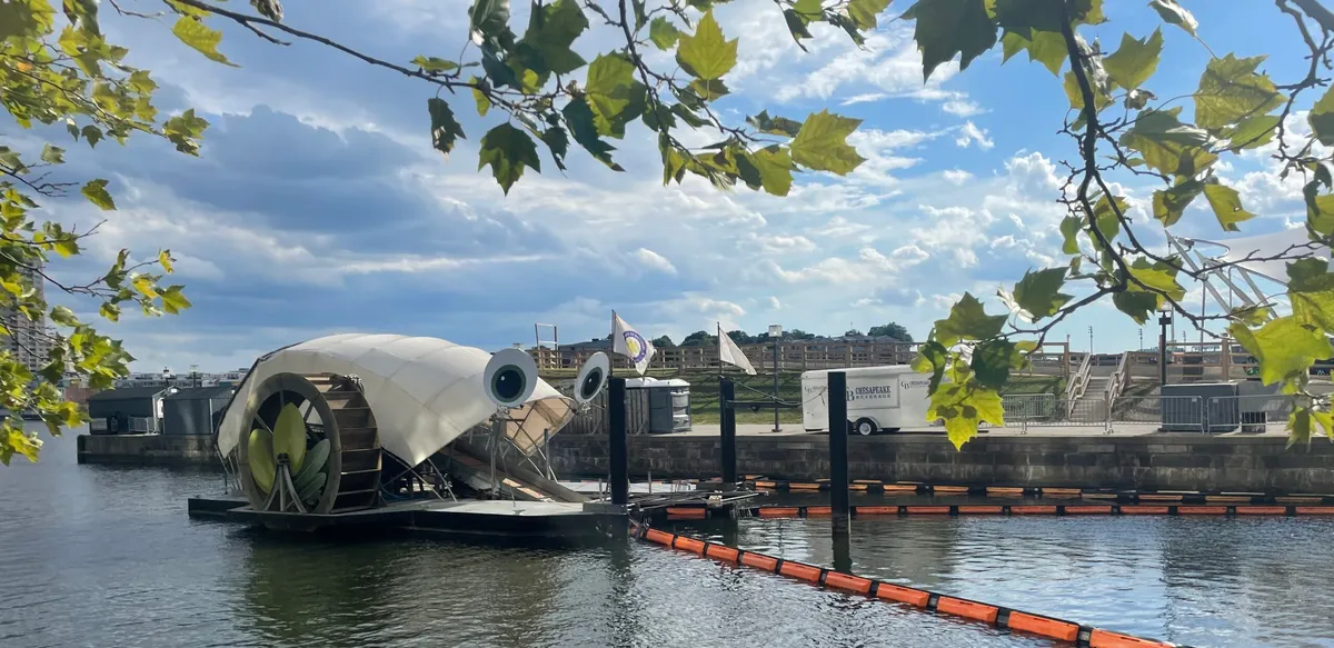 Meet Mr. Trash Wheel and His Trash-Catching Friends