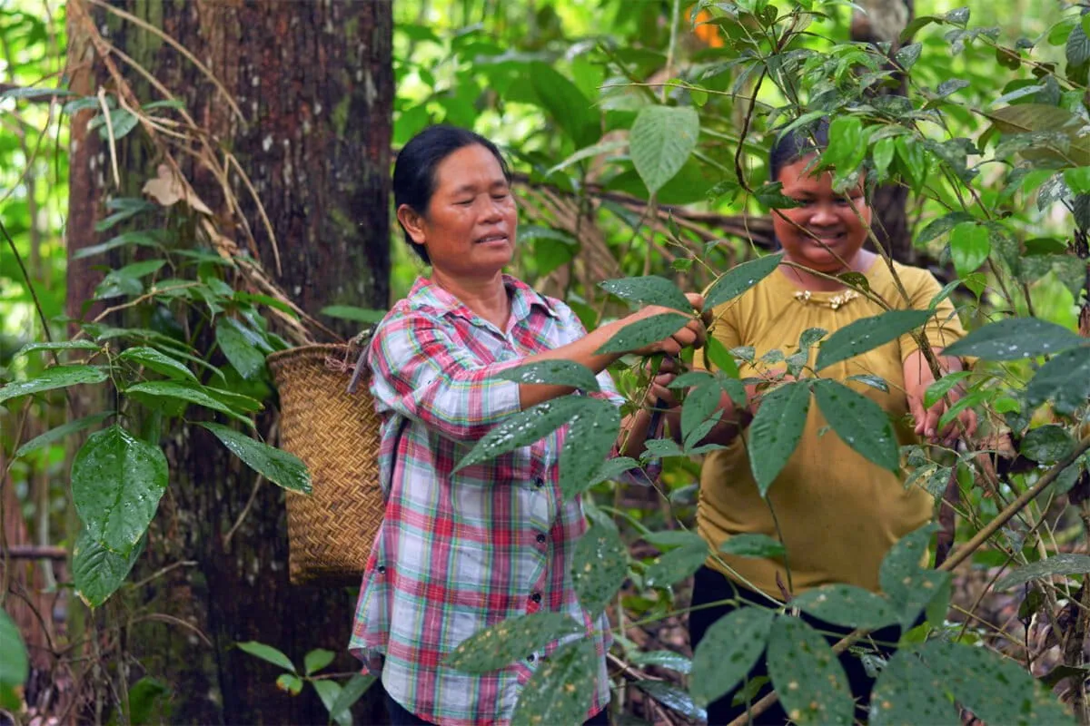 Indonesia Is Finally Mapping Out Its Indigenous Lands. All 3,857 of Them.