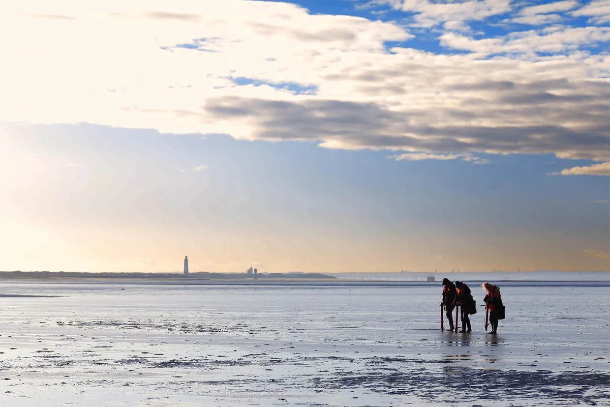 Seagrass seed bags planted at Spurn Point, U.K., by the Wilder Humber project. Image courtesy of Wilder Humber.