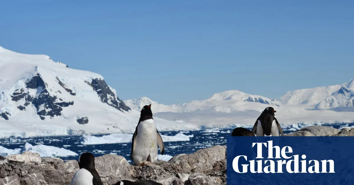 Antarctic penguins have radically shifted their breeding season – seemingly in response to climate change