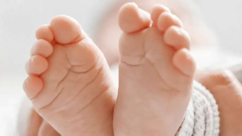 Article illustration