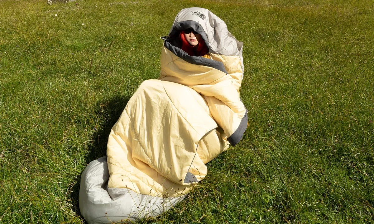 Article illustration