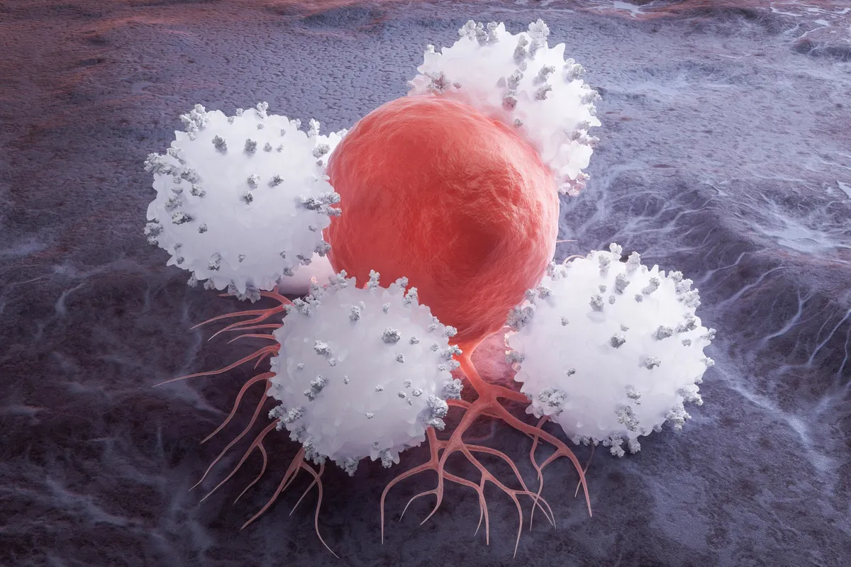 Scientists Capture Immune Cells Eating Live Cancer Cells for the First Time