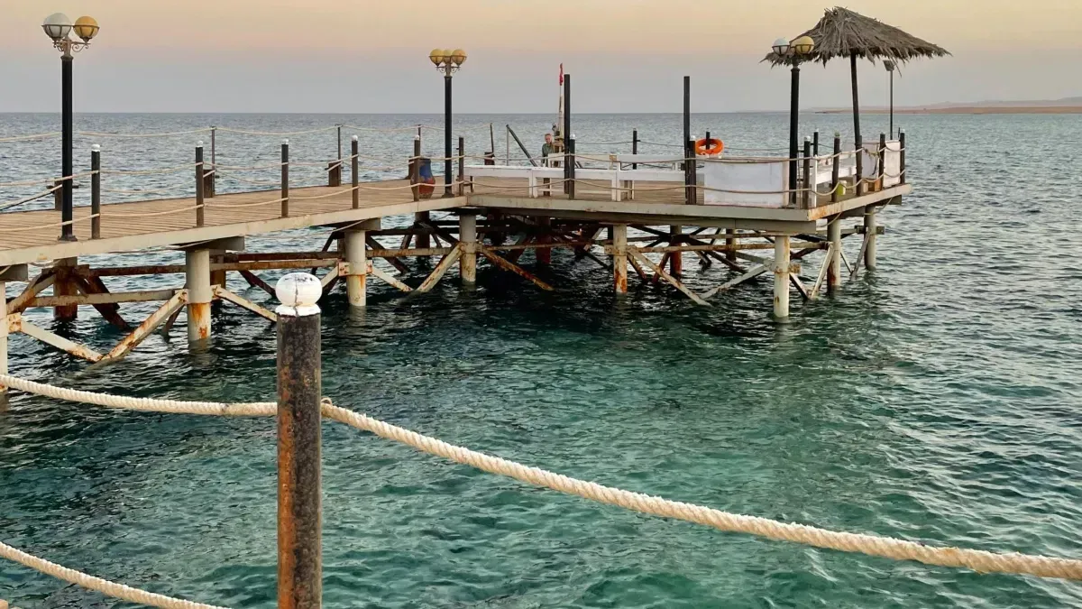 Good Samaritans Jump into the Ocean to Save Driver in Sinking Car