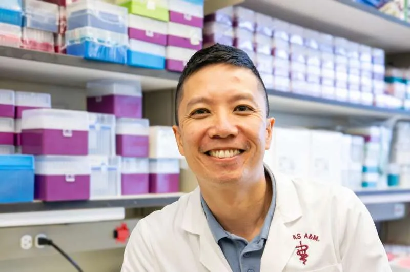 Dr. Peter Nghiem, an associate professor in the Department of Veterinary Integrative Biosciences, developed the Myok9 canine muscle cell line to support more efficient and ethical research.