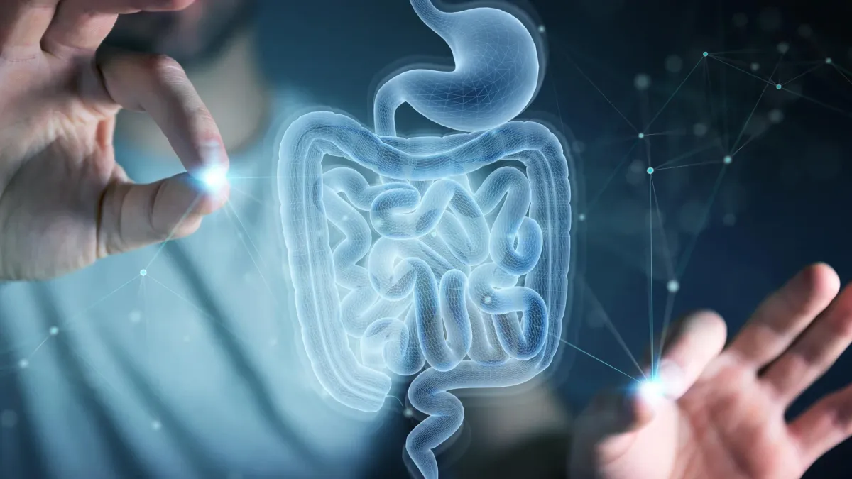 A Common Amino Acid Just Unlocked the Gut's Self-Healing Superpower