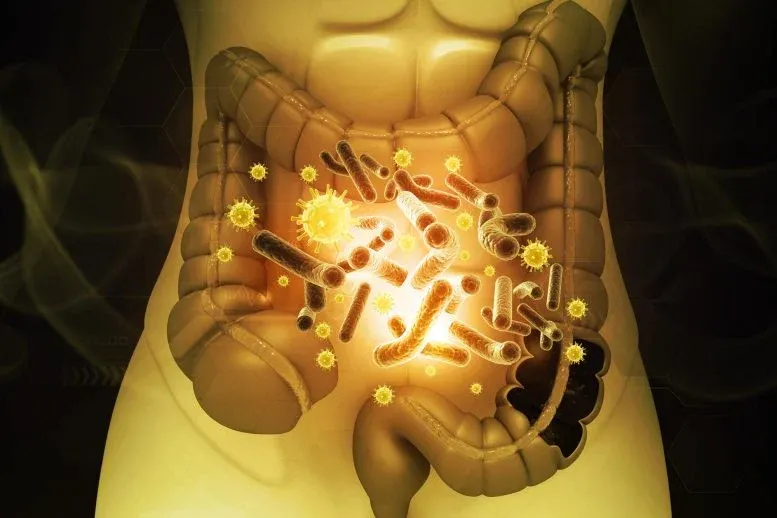 Your Gut Bugs Are Officially Contagious. Yes, Really.