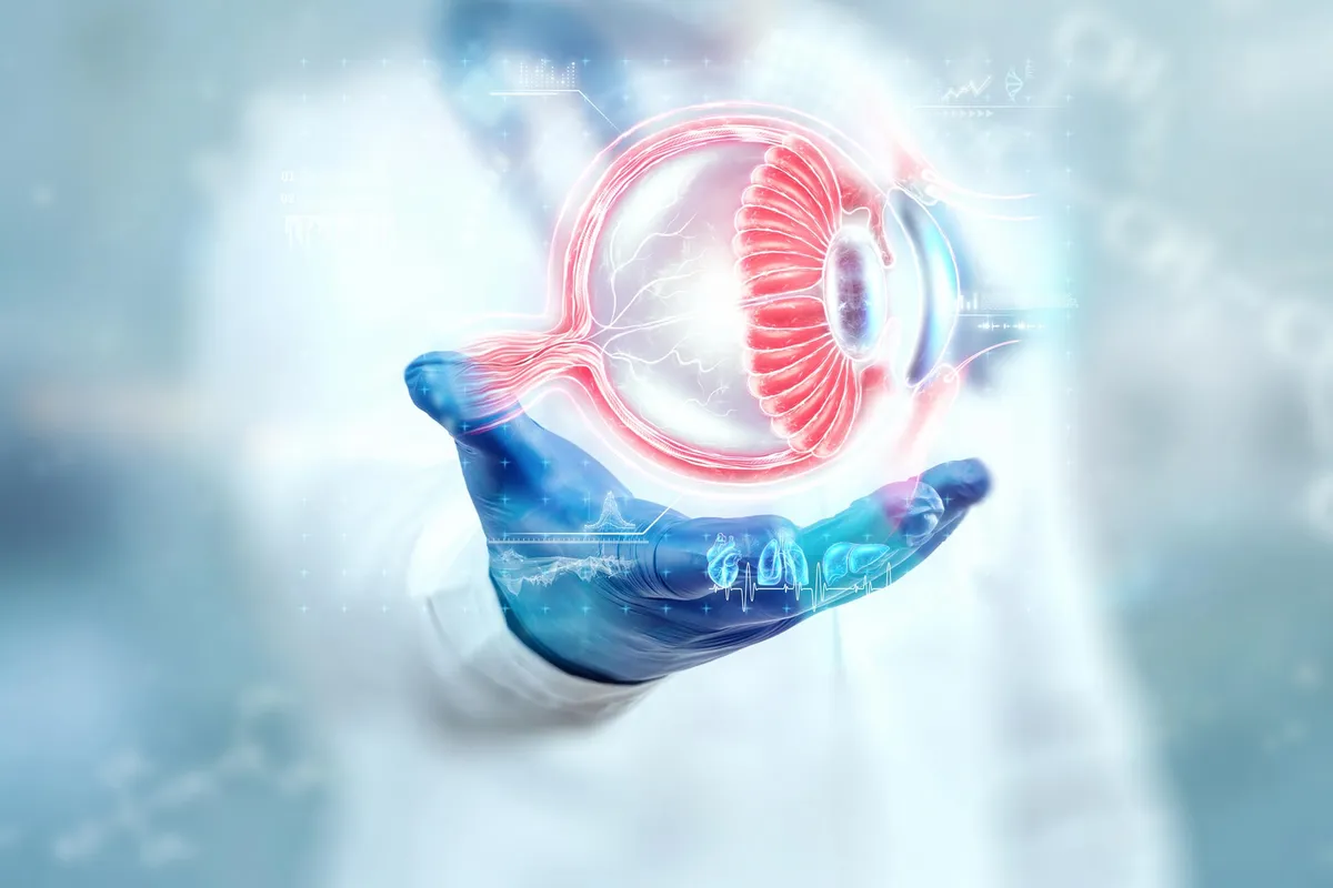 Scientists Discover a Natural Molecule That Could Help Prevent Vision Loss