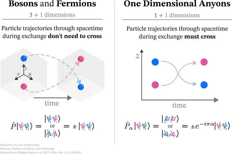 Graphic Illustration of Bosons Fermions and Anyons