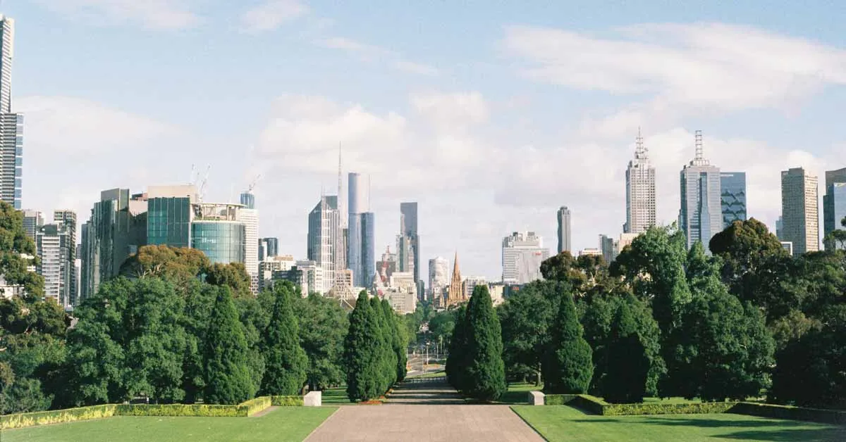Australians send emails to trees in 'Tree-Mail' project designed to improve urban green space