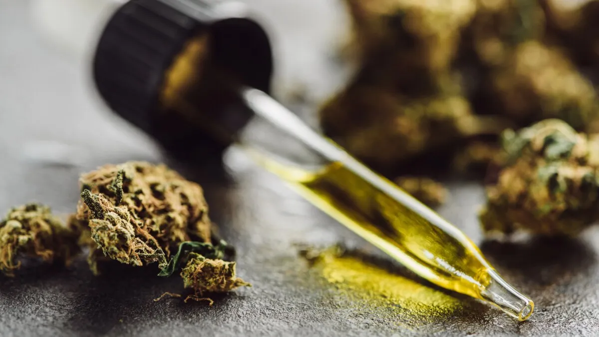 Resurrected Ancient Cannabis Enzymes Power New Drugs