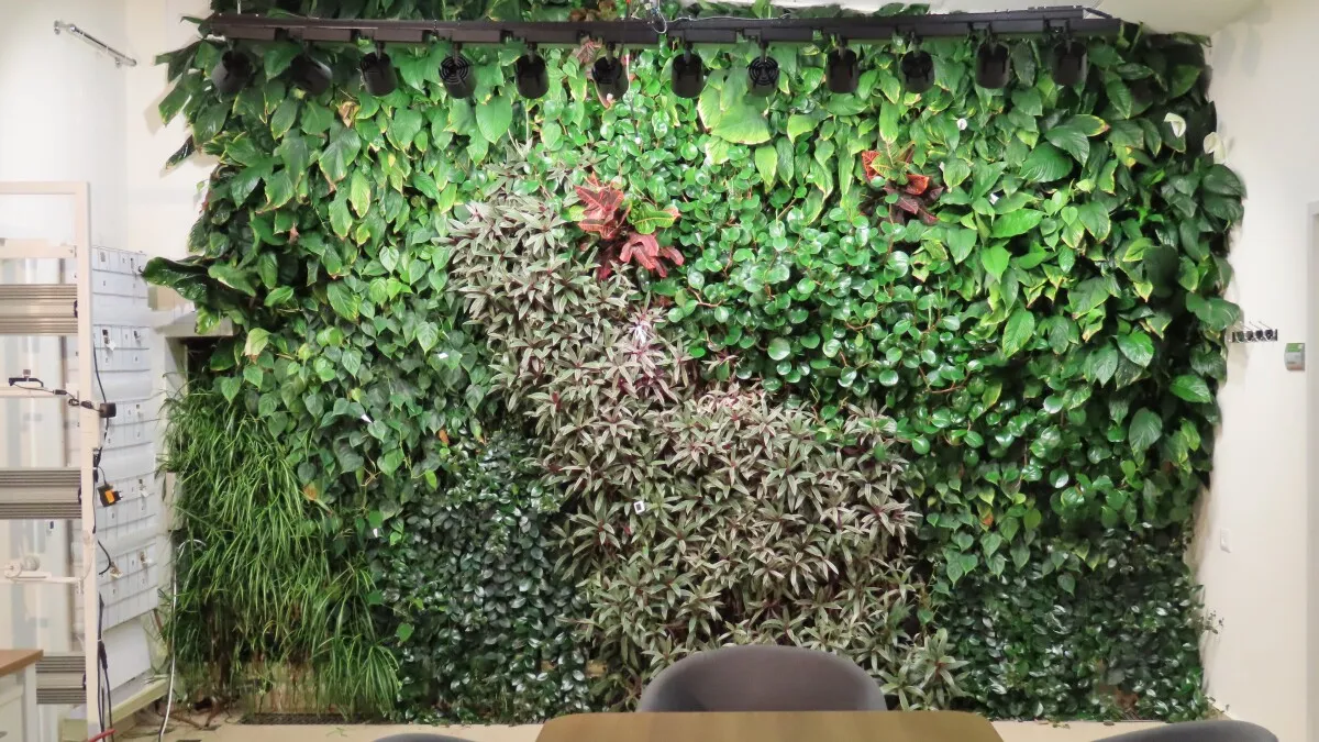 This AI Predicts if Your Office Plants Will Thrive or Just Die Slowly