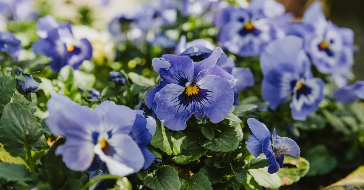 NYC 'queer garden' is filled with non-binary and sex-changing plants